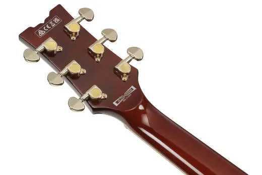 AR Standard 6-String Electric Guitar - Black Mirage Gradation