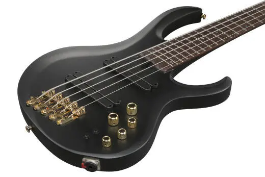 BTB Bass Workshop 5-String Multi-Scale Electric Bass - Black Flat