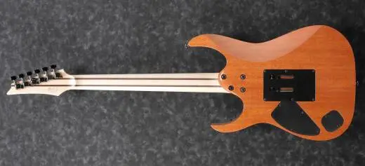 RG Prestige Electric Guitar with Case - Cosmic Shadow