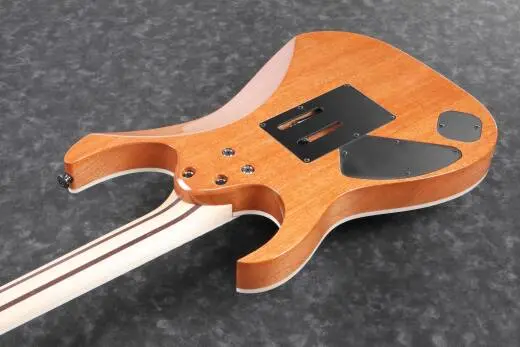 RG Prestige Electric Guitar with Case - Cosmic Shadow