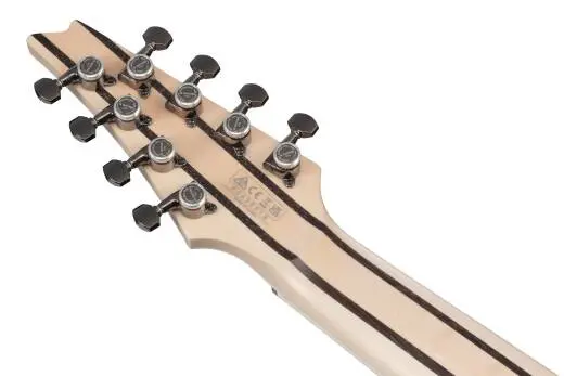 RG Prestige 8-String Electric Guitar with Case - Lightning Through A Dark