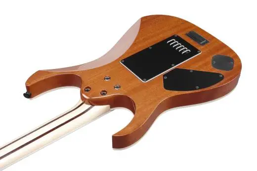 RG Prestige Electric Guitar with Case - Polar Lights Flat