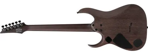 RGD Electric Guitar - Midnight Shade Flat