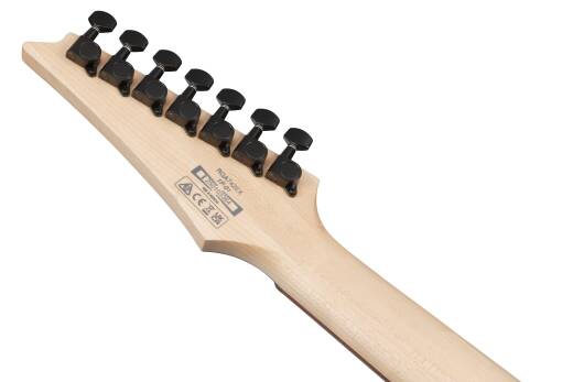 RGA Standard 7-String Electric Guitar - Black Aurora Burst Matte