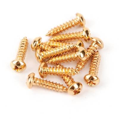 Vintage-Style Stratocaster/Telecaster Tuning Machine/String Tree Mounting Screws (12) (Gold)