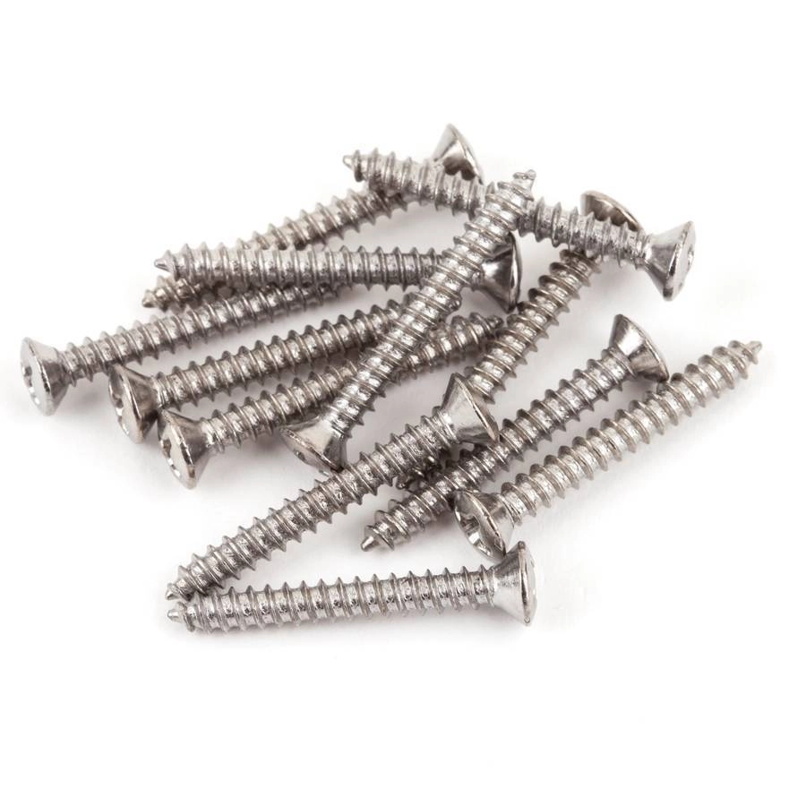 Bass/Telecaster Bridge/Strap Button Phillips head Mounting Screws (12) - Chrome