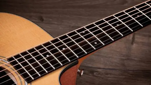 110ce Dreadnought Sapele/Spruce Acoustic-Electric Guitar with Gigbag