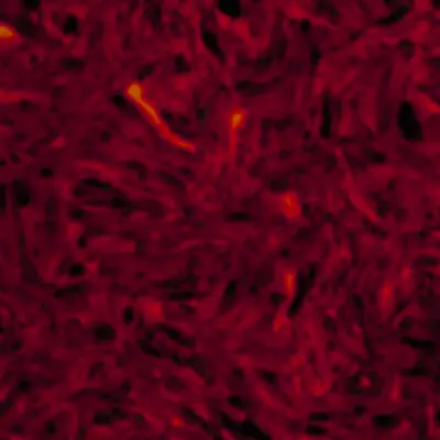 WD Music - Pickguard Material Blank, Oversized - Tortoise Shell Solod (Semi-Transparent)