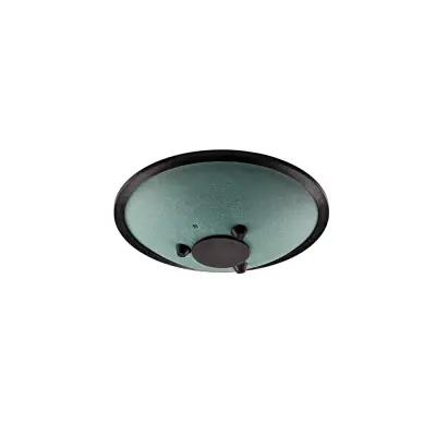 10\'\' Compact Steel Tongue Drum, B Minor, 8 Notes, 432 Hz - Dark Green