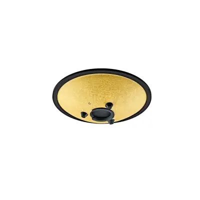 10\'\' Compact Steel Tongue Drum, D Minor, 8 Notes, 432 Hz - Gold