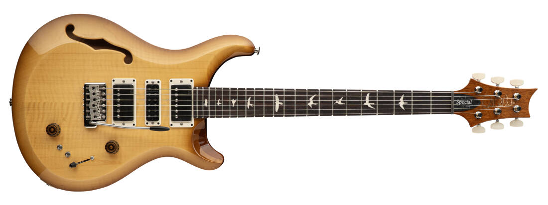 S2 Special Semi-Hollow Electric Guitar with Gigbag - Vintage Natural