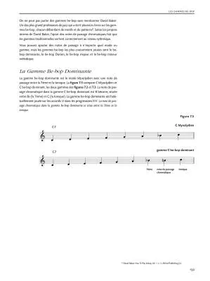 Le Livre de la Theorie du Jazz - Levine - Book