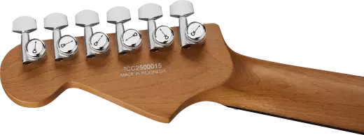 Pro-Mod Plus Dinky DK24 HH 2PT EB, Ebony Fingerboard - Celestial Silk