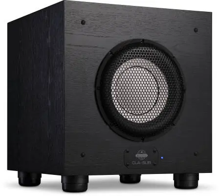 CLA-Sub 10\'\' Studio Subwoofer - 300 Watt