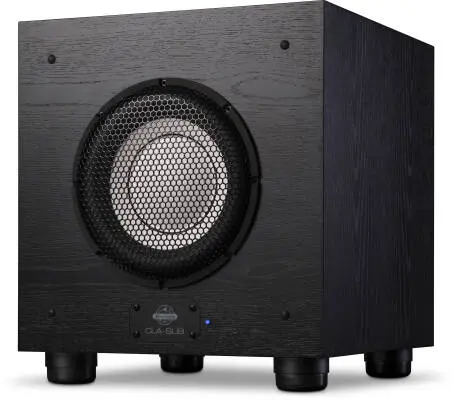 CLA-Sub 10\'\' Studio Subwoofer - 300 Watt