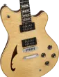 SA-126 Special QM, Quilt Maple Top Electric Guitar with Case - El Natural