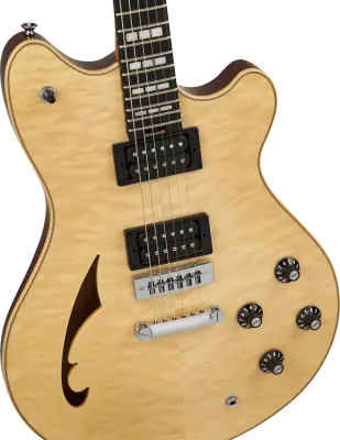 SA-126 Special QM, Quilt Maple Top Electric Guitar with Case - El Natural