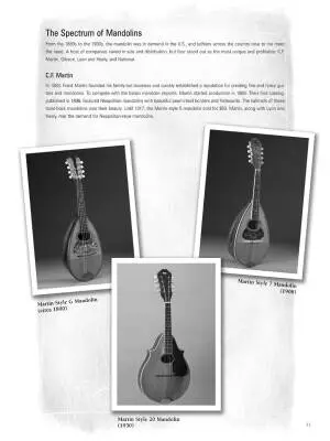 Mandolin Blues - DelGrosso - Book/Audio Online