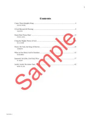 Praise Without End: A Tapestry of Hymns - Larson - Piano - Book