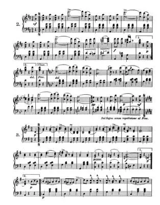 Favorite Waltzes, Polkas and Other Dances - Strauss - Piano - Book