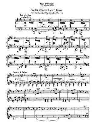 Favorite Waltzes, Polkas and Other Dances - Strauss - Piano - Book