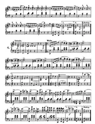 Favorite Waltzes, Polkas and Other Dances - Strauss - Piano - Book