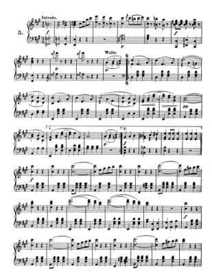 Favorite Waltzes, Polkas and Other Dances - Strauss - Piano - Book