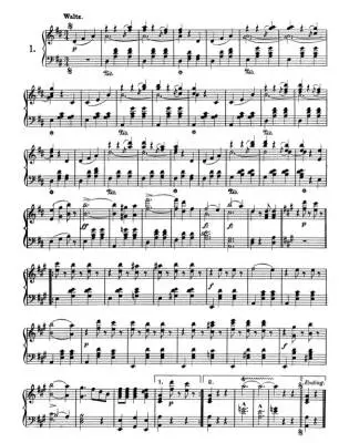 Favorite Waltzes, Polkas and Other Dances - Strauss - Piano - Book