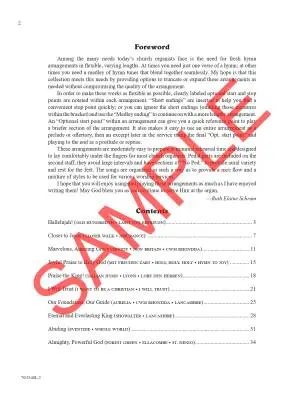 Prayludes of Praise, Vol. 2 - Schram - Organ (2-Staff) - Book