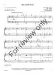 Prayludes of Praise - Schram - Organ (2-Staff) - Book