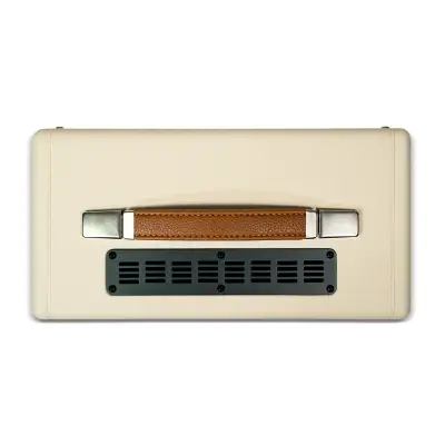 TV-10 AH 10 Watt Head