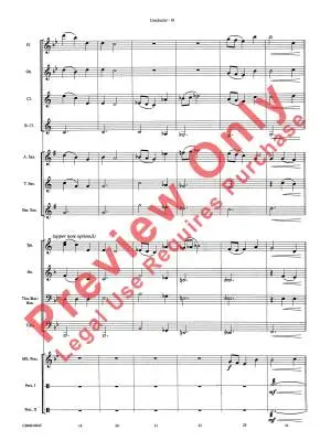 Themes from Harry Potter - Williams/Cook - Concert Band - Gr. 1