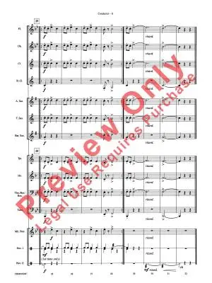 Themes from Harry Potter - Williams/Cook - Concert Band - Gr. 1