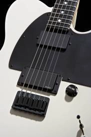 Jim Root Telecaster - Ebony Fingerboard, Flat White