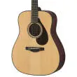 FG9 60th Anniversary Edition Acoustic Guitar with Hardshell Case