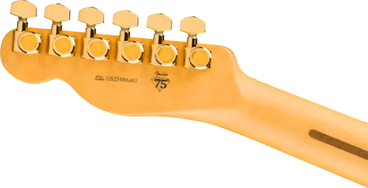 75th Anniversary Professional Custom Telecaster, Maple Fingerboard - 2-Colour Sunburst