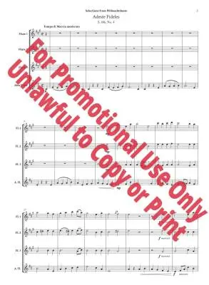 Selections from \'\'Weihnachtsbaum\'\', S. 186 - Liszt/Jolly - Flute Quartet