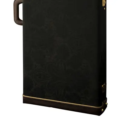 Artist V Hardshell Case - Black Paisley