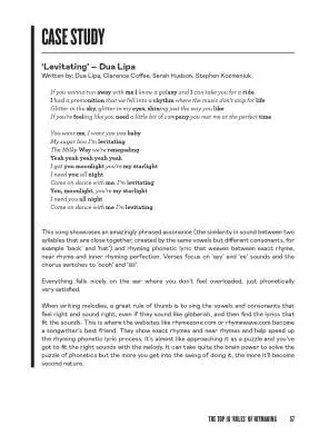 It\'s Not Just a Song - Cunningham - Book