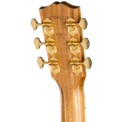 Songwriter Recording Artist EC Acoustic/Electric Guitar with Hardshell Case - Rosewood Burst