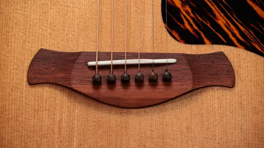 Gold Label 710e Spruce/Rosewood Acoustic-Electric Guitar with Case - Natural