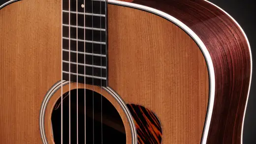 Gold Label 710e Spruce/Rosewood Acoustic-Electric Guitar with Case - Natural