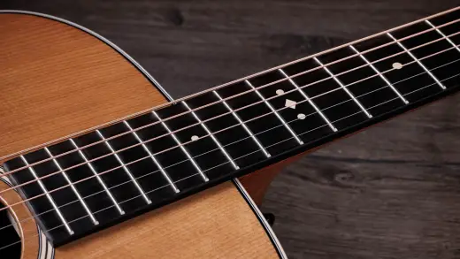 Gold Label 710e Spruce/Rosewood Acoustic-Electric Guitar with Case - Natural