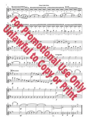 Swan Lake Suite, Op. 20a - Tchaikovsky/Jolly - Flute Duet