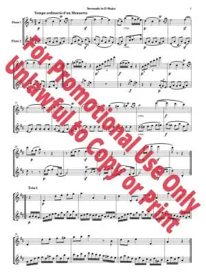 Serenade in D Major, Op. 25 - Beethoven/Jolly - Flute Duet