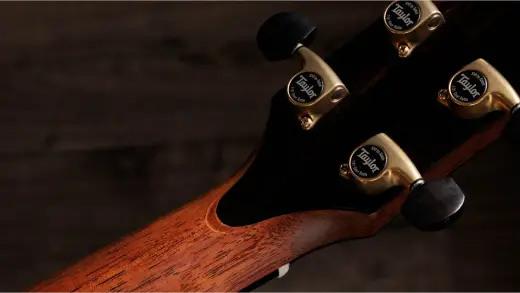 Gold Label 917e SB Acoustic-Electric Guitar with Case - Teardrop Sunburst