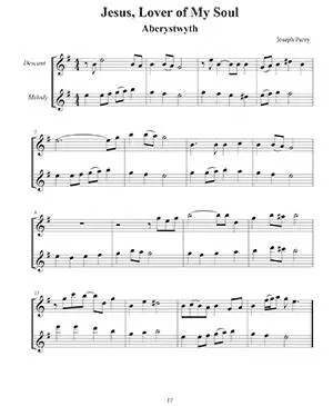 Hymns and Descants for Flute - Kaplan - Book