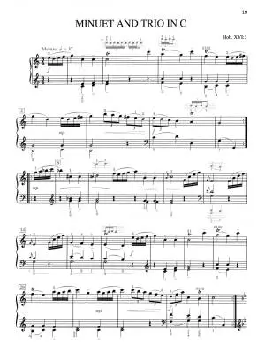 An Introduction to His Keyboard Works - Haydn/Lucktenberg - Piano - Book