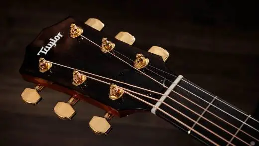 217e Plus Special Edition Honeyburst Acoustic-Electric Guitar with Gig Bag