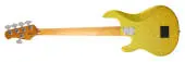 StingRay Special 5 HH 5-String Bass Guitar with Case - Yellow Brick Road